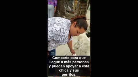 "Donde come uno, comen todos": Alimenta y acoge en su hogar perritos de la calle, ya son 51