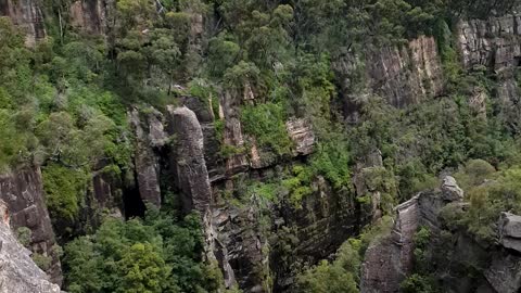 Top of Fitzroy Falls