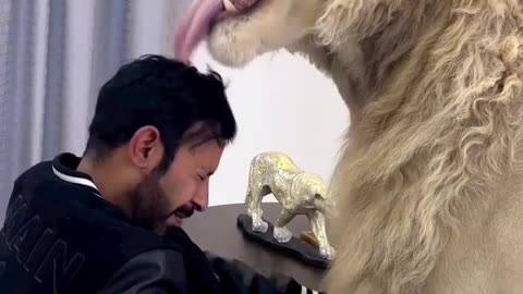 Dubai 🇦🇪 King 👑 Sheik Nawab with White Lion 🦁 white Tiger 🐯 Jeetpuria Janab