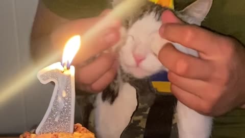 Combat Kitty's First Birthday
