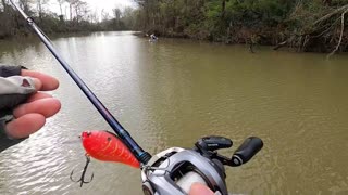 Texas Bass Fishing, River Fish