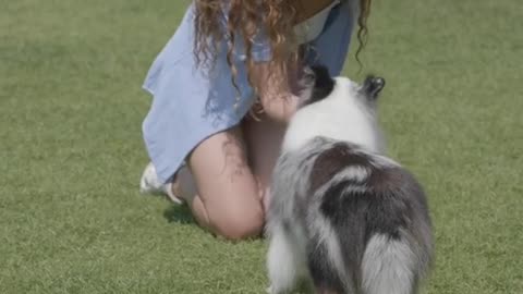 Woman Teaching His Dog