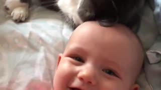 cat caressing baby