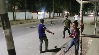 Dog Engages In A Game Of Streetside Soccer