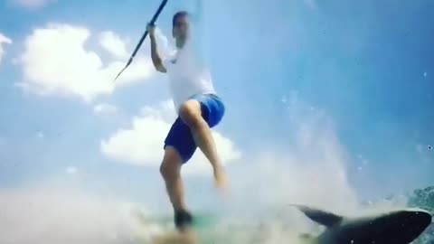 Man doing surfing drop down into ocean after collide with big fish🦈