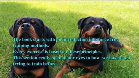 Brain Training For Dogs: Reviews And Rating!!