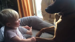 Puppy loving his baby girl best friend with kisses.