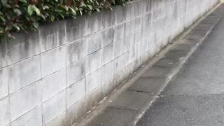 Walking down the street in Japan