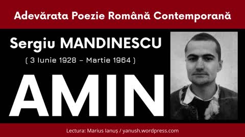 Sergiu Mandinescu - AMIN