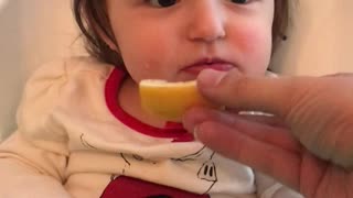 This Little One Just Loves The Taste Of Lemon