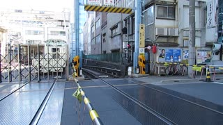 Tokyo Metro Crossing