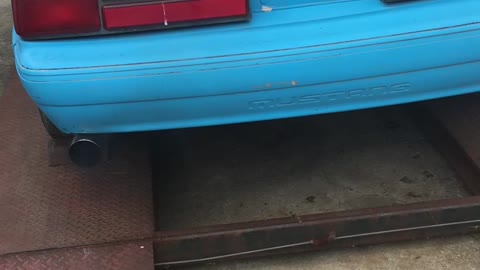 1986 Mustang GT Cam (unkown) Idle