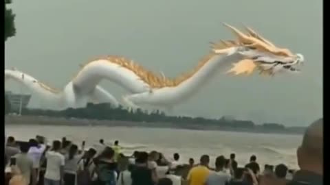 Tik tok chinese dragon competition
