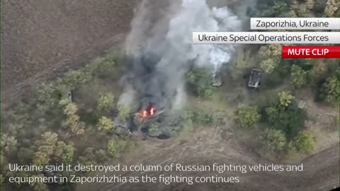 Ukraine War: Special forces 'destroy' Russian armoured column