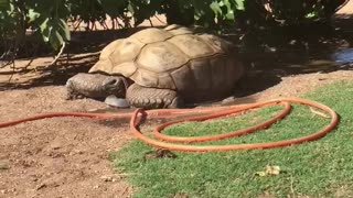 Michael sitting on the hose