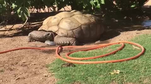 Michael sitting on the hose