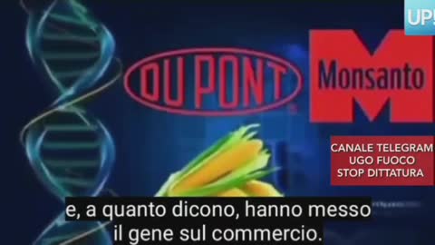 🔴💣STERILIZZAZIONE CONSAPEVOLE, LA MONSANTO TI SOMMINISTRA IL GENE BREVETTATO