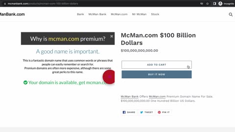 McMan.com $100 Billion USD April 6, 2023