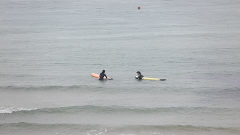 a female surfer