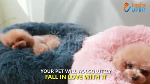 Comfy Faux Fur Pet Bed - Best Orthopedic Dog Beds