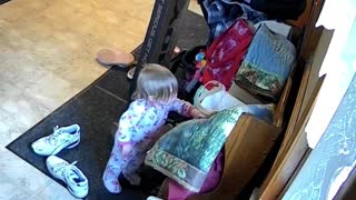 Toddler Takes Cash Out of Grandma's Purse