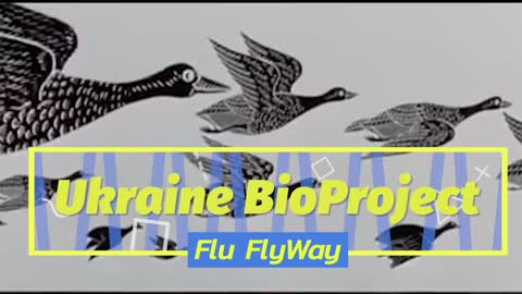 BREAKING: Latest Ukraine Bio-Weapons Outed, Congo Crimea Hemorrhagic Fever Project FlyAway