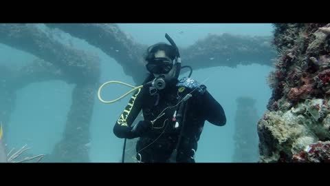 LIFELINE Elite Dive Team - Promo