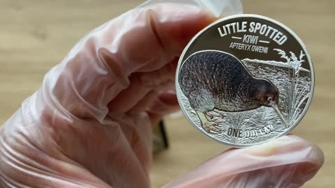 2018 Kiwi Silver Proof Coin
