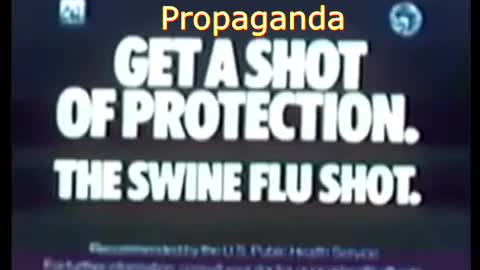 The Swine Flu F@ck Up