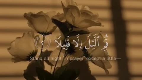 Surah Al-muzammil | Qur'an Lo-Fi | Abdul Rahman Mossad | Qur'an Recitation