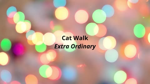 Cat Walk Extra Ordinary