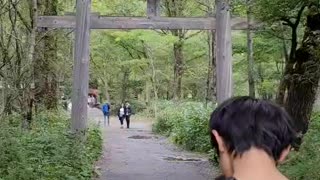 A walk in Nature, Kamikochi, Nagano, Japan