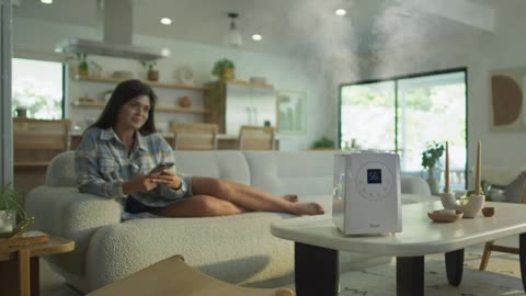 Ultimate Guide to LEVOIT LV600S Smart Warm and Cool Mist Humidifiers