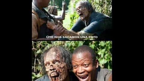 The walking dead memes