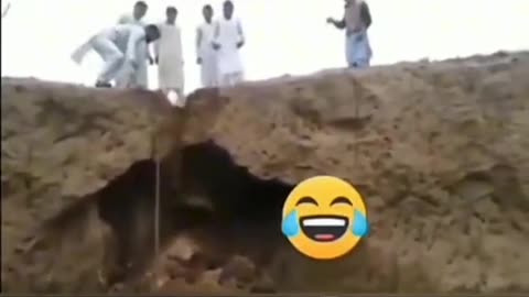 Shudiya people funni video