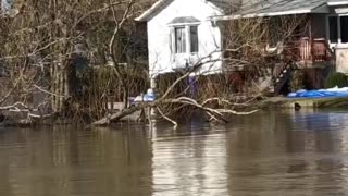 Flooding In Montreal & Surrounding Area Has Locals Banding Together