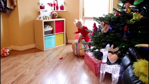 Cute Dog got his own Christmas tree full dog toys