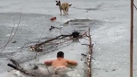 Rescuing Dog from freezing water