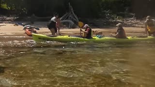 Kayak Tour Rescues Baby Fawn from Drowning