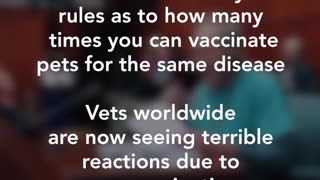 The Dangers of Vaccine Overdosing Pets. NO VACCINES ARE SAFE