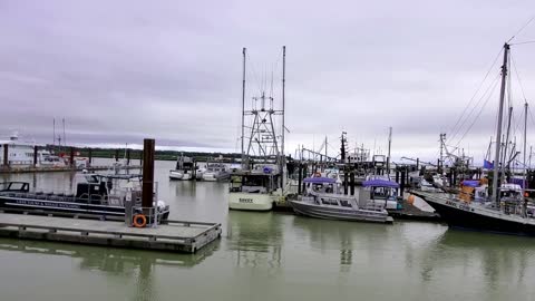 Steveston Marina, Richmond, British Columbia