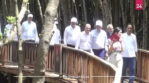 Leaders walk through mangrove on the final day of G20