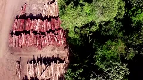 Why is Brazil's Amazon rainforest burning?