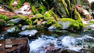 Nature Therapy | Asmr Video No. 033🌈