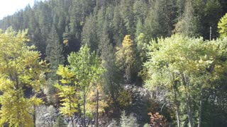 Below the Paulson Bridge