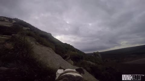 Mountain climbing dog