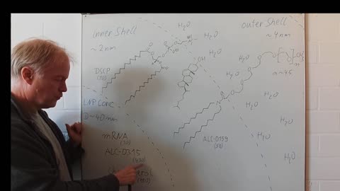 Covid Vaccine: The Chemistry of the Nanoparticle Shell – Chemistry of Medicinal Drugs 1