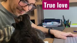 Cat True Love