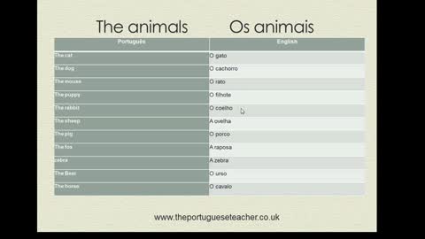 Animals in Portuguese Part 1 - Animais em português parte 1
