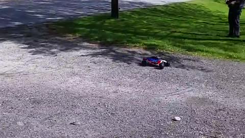 Pit bull chases RC car